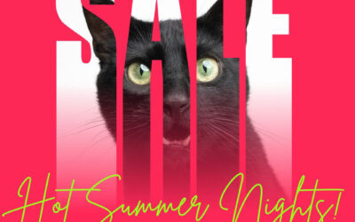 The Hot Summer Nights Sale is On!